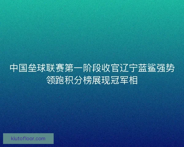 中国垒球联赛第一阶段收官辽宁蓝鲨强势领跑积分榜展现冠军相