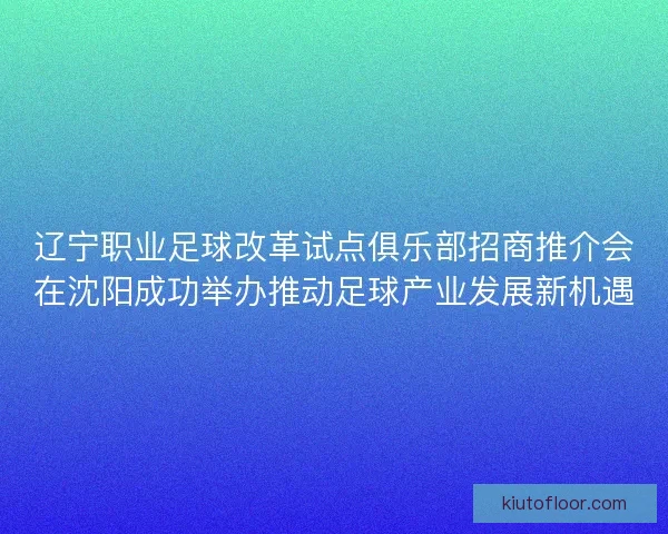 辽宁职业足球改革试点俱乐部招商推介会在沈阳成功举办推动足球产业发展新机遇 辽宁职业足球改革试点俱乐部招商推介会在沈阳成功举办推动足球产业发展新机遇